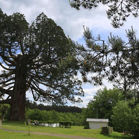 Hostellerie La Bruyere Chalvignac Dış mekan fotoğraf