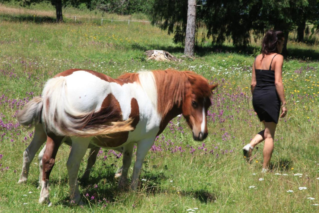 Hostellerie La Bruyere Chalvignac Dış mekan fotoğraf